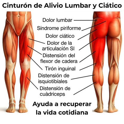 Cinturón de Alivio Lumbar y Ciático